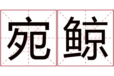 宛鲸名字寓意