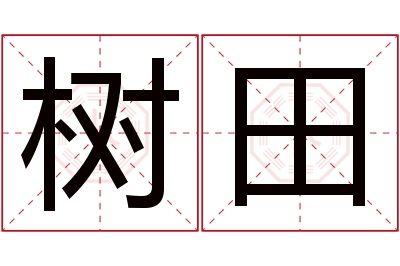 树田名字寓意