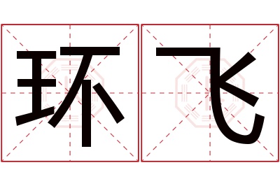 环飞名字寓意