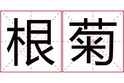 根菊名字寓意