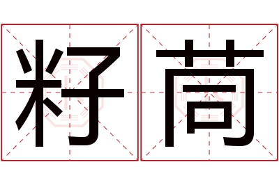 籽茼名字寓意