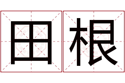 田根名字寓意