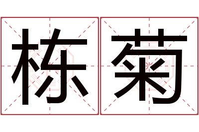 栋菊名字寓意