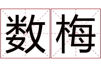 数梅名字寓意