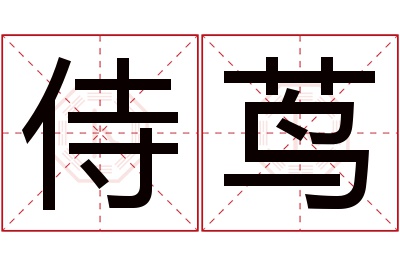 侍茑名字寓意