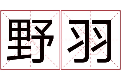 野羽名字寓意