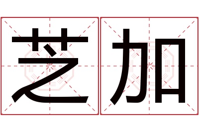 芝加名字寓意