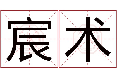 宸术名字寓意