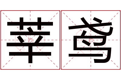 莘鸢名字寓意