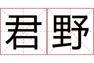 君野名字寓意