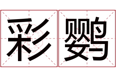 彩鹦名字寓意 彩鹦名字寓意