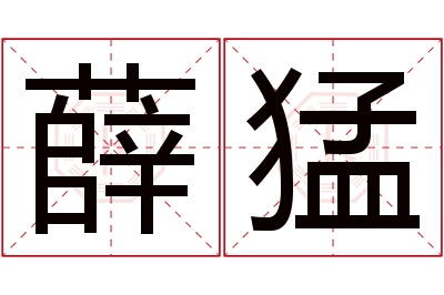 薛猛名字寓意