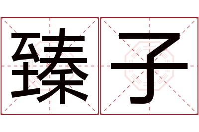 臻子名字寓意 臻子名字寓意