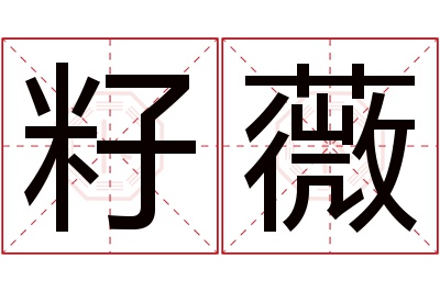 籽薇名字寓意