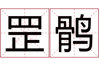 罡鹘名字寓意