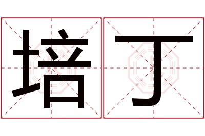 培丁名字寓意