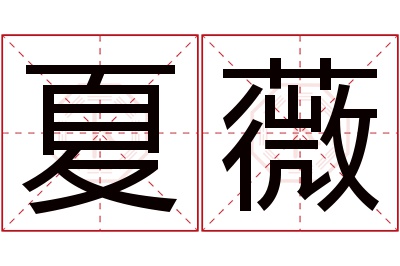 夏薇名字寓意