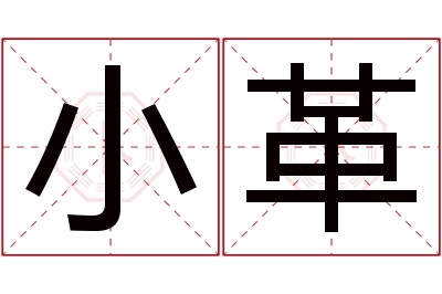 小革名字寓意