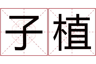 子植名字寓意