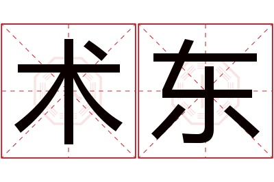 术东名字寓意