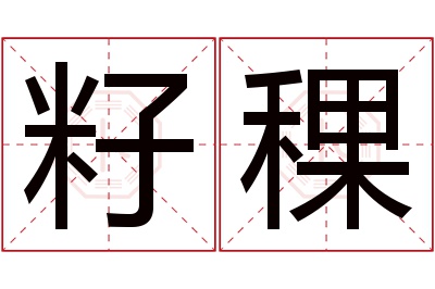 籽稞名字寓意