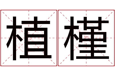 植槿名字寓意