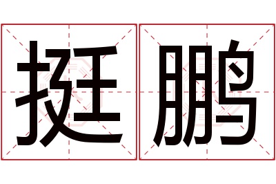 挺鹏名字寓意