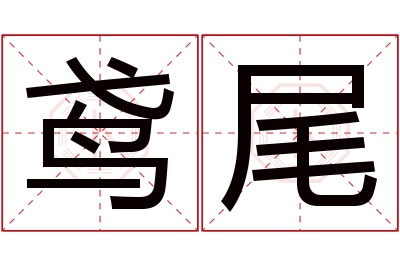 鸢尾名字寓意