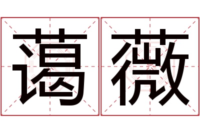 蔼薇名字寓意