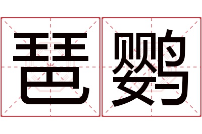 琶鹦名字寓意