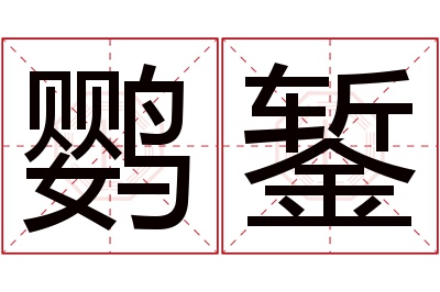 鹦錾名字寓意