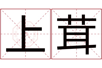 上茸名字寓意