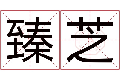 臻芝名字寓意