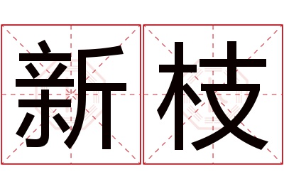 新枝名字寓意
