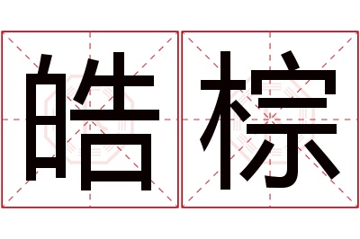 皓棕名字寓意