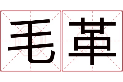 毛革名字寓意