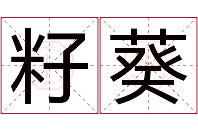 籽葵名字寓意