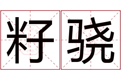 籽骁名字寓意