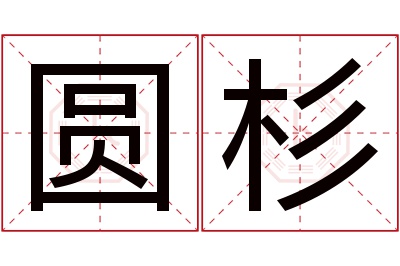 圆杉名字寓意