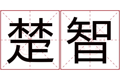 楚智名字寓意