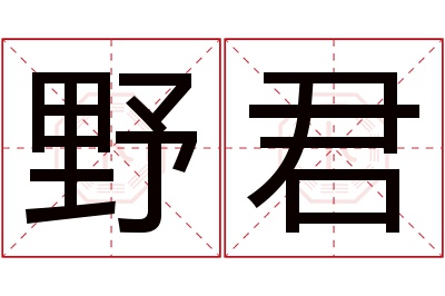 野君名字寓意