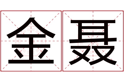 金聂名字寓意