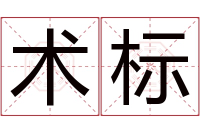 术标名字寓意