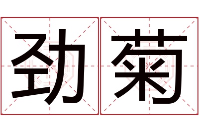 劲菊名字寓意