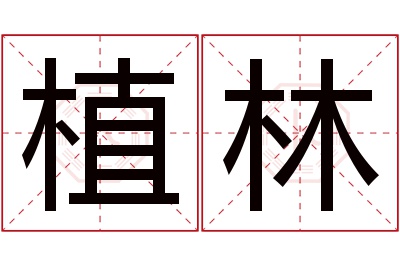 植林名字寓意
