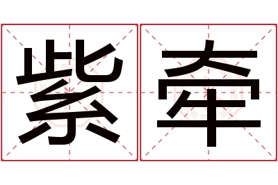 紫牵名字寓意