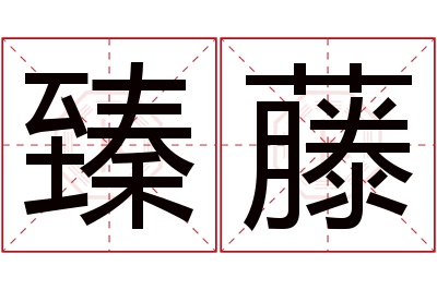 臻藤名字寓意