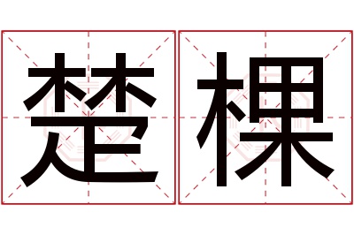 楚棵名字寓意