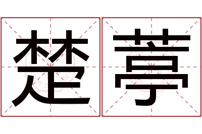 楚葶名字寓意