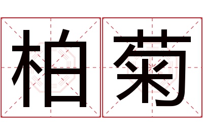 柏菊名字寓意